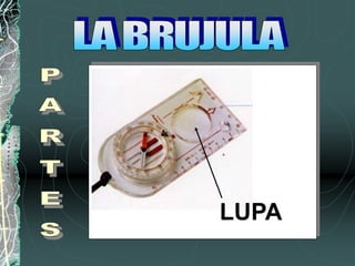 LUPA
 