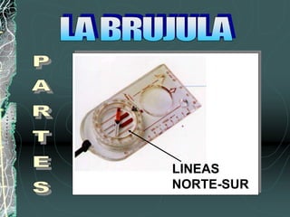 LINEAS
NORTE-SUR
 