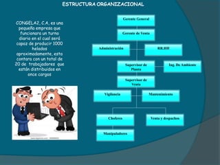 Choferes Venta y despachos
Gerente General
RR.HH
Gerente de Venta
Administración
Supervisor de
Planta
Ing. De Ambiente
Mantenimiento
Supervisor de
Venta
Manipuladores
Vigilancia
ESTRUCTURA ORGANIZACIONAL
CONGELA2, C.A, es una
pequeña empresa que
funcionara un turno
diario en el cual será
capaz de producir 1000
helados
aproximadamente, esta
contara con un total de
20 de trabajadores que
están distribuidos en
once cargos
 