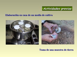 Actividades previasActividades previas
Elaboración en casa de un medio de cultivoElaboración en casa de un medio de cultivo
Toma de una muestra de tierraToma de una muestra de tierra
 