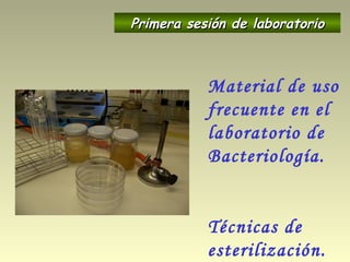 Material de uso
frecuente en el
laboratorio de
Bacteriología.
Técnicas de
esterilización.
Primera sesión de laboratorioPrimera sesión de laboratorio
 