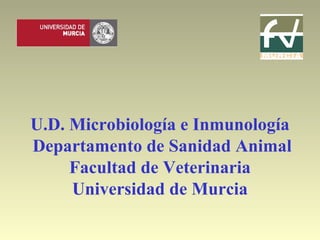 U.D. Microbiología e Inmunología
Departamento de Sanidad Animal
Facultad de Veterinaria
Universidad de Murcia
 