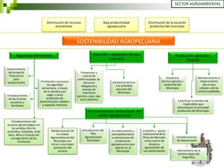 SECTOR AGROAMBIENTAL



                              Disminución de recursos                     Baja productividad             Disminución de la vocación
                                   económicos                               agropecuaria                  productiva del municipio



                                                     SOSTENIBILIDAD AGROPECUARIA

      Seguridad alimentaria                                      Atención y asistencia técnica                                 Producción agrícola y
                                                                          pecuaria                                                   forestal

Sostenimiento
 del proyecto                                           Prevención y
 Piscicultura                                            control de
     para                                            enfermedades de                                                   Asistencia                 Mantenimiento y
autoconsumo              Promoción a procesos             denuncia              Asistencia técnica                  técnica agrícola y             mejoramiento
                               de seguridad             obligatoria y             a la actividad                      ambiental del                  del ornato
                          alimentaria a través           manejo de                 pecuaria del                        Municipio                   urbano y de los
                            de la siembra pan            inventario                 Municipio                                                     centros poblados
Fortalecimiento               coger y otros          porcino, aves, equ
 de las huertas               productos de             inos y bovinos
  escolares y            diversificación cafetera                                                                                Incentivar la siembra de
   familiares              y especies menores                                                                                        maderables que
                                                                                                                                 diversifiquen la actividad
                                                             Fortalecimiento institucional del                                   productiva del Municipio
                                                                   sector agropecuario
    Fortalecimiento del
proceso agroecológico en
    las veredas Alto los
Jaramillos, Arboleda, Arde       Modernización de        Actualización del     Fortalecimiento y     Creación y apoyo
 dero, Mina y Empuje del             la Unidad                 Plan            acompañamiento        institucional de la
   corregimiento de los          Agroambiental del        Agropecuario          a asociaciones de    Plaza de Mercado           Fortalecimiento
         Farallones                Municipio con            Municipal              productores        como centro de            de Asocomunal
                                 miras a una mejor                             agropecuarios que          Acopio y
                                   prestación del                                  operan en el       agremiación de
                                      servicio                                      Municipio        sus comerciantes           Interventoría de la
                                                                                                                                 tercera etapa del
                                                                                                                                     frigorífico
 