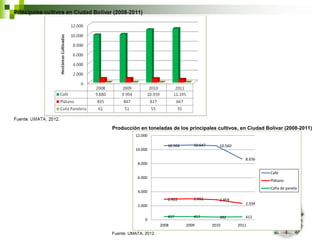 Producción en toneladas de los principales cultivos, en Ciudad Bolívar (2008-2011)
          12.000

                          10.566      10.647      10.560
          10.000

                                                              8.656
           8.000

                                                                      Café
           6.000
                                                                      Plátano
                                                                      Caña de panela
           4.000
                          2.922       2.992       2.859
                                                              2.334
           2.000

                          457         457         382         412
               0
                       2008        2009        2010        2011
Fuente: UMATA, 2012.
 
