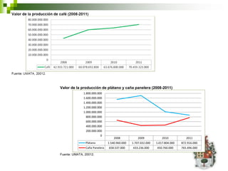 Valor de la producción de plátano y caña panelera (2008-2011)
              1.800.000.000
              1.600.000.000
              1.400.000.000
              1.200.000.000
              1.000.000.000
                800.000.000
                600.000.000
                400.000.000
                200.000.000
                          0
                                   2008            2009            2010           2011
               Plátano         1.540.960.000   1.707.032.000   1.017.804.000   872.916.000
               Caña Panelera   658.537.000     433.236.000     450.760.000     765.496.000

Fuente: UMATA, 20012.
 