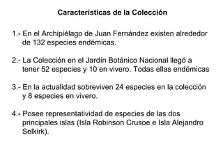 Características de la Colección
1.- En el Archipiélago de Juan Fernández existen alrededor
de 132 especies endémicas.
2.- La Colección en el Jardín Botánico Nacional llegó a
tener 52 especies y 10 en vivero. Todas ellas endémicas
3.- En la actualidad sobreviven 24 especies en la colección
y 8 especies en vivero.
4.- Posee representatividad de especies de las dos
principales islas (Isla Robinson Crusoe e Isla Alejandro
Selkirk).

 