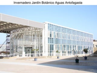 Invernadero Jardín Botánico Aguas Antofagasta

 