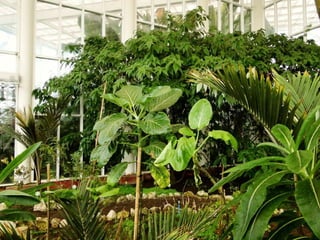 Sectores altamente erosionados

Quebrada “Pesca de los viejos”

 