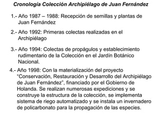 Cronología Colección Archipiélago de Juan Fernández
1.- Año 1987 – 1988: Recepción de semillas y plantas de
Juan Fernández
2.- Año 1992: Primeras colectas realizadas en el
Archipiélago
3.- Año 1994: Colectas de propágulos y establecimiento
rudimentario de la Colección en el Jardín Botánico
Nacional.
4.- Año 1998: Con la materialización del proyecto
“Conservación, Restauración y Desarrollo del Archipiélago
de Juan Fernández”, financiado por el Gobierno de
Holanda. Se realizan numerosas expediciones y se
construye la estructura de la colección, se implementa
sistema de riego automatizado y se instala un invernadero
de policarbonato para la propagación de las especies.

 