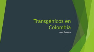 Transgénicos en
Colombia
Laura Tarazona
 