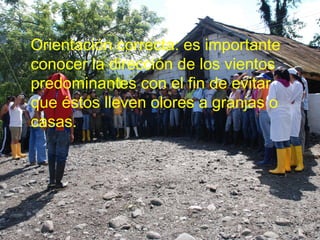 Orientación correcta: es importante
conocer la dirección de los vientos
predominantes con el fin de evitar
que éstos lleven olores a granjas o
casas.
 