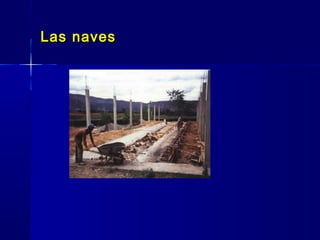 Las navesLas naves
 