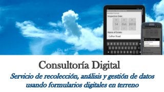 Consultoría Digital 
Servicio de recolección, análisis y gestión de datos usando formularios digitales en terreno  
