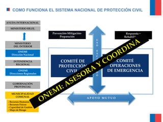 Gestión de Riesgo de Desastres y Discapacidad en Chile | PDF