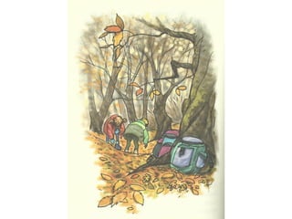 Presentación En el corazón del bosque