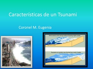 Características de un Tsunami
Coronel M. Eugenia

 