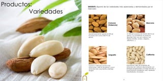 Productos:           ARANUTS dispone de las variedades más apreciadas y demandadas por el


        Variedades
                     mercado:




                                                  Comuna                                       Marcona
                                                  (Valencia)




                     Aproximadamente supone el 55% de              El 10% de la producción (hasta 400 Tm en
                     la producción (unas 2.000 Tm de               grano). La convertimos un producto
                     grano)                                        gourmet: frita, con sal o azúcar, con
                                                                   hierbas (tomillo, romero, orégano,
                                                                   albahaca…).




                                                   Largueta                                    California




                     Supone un 35% de la producción                Importamos miles de toneladas de
                     anual (unas 1.300 Tm de grano), y es la       almendra de California directamente con
                     almendra más característica del Bajo          entregas programadas a lo largo del año, y
                     Aragón.                                       la procesamos añadiendo valor: repelado,
                                                                   industrializado, envasado…




                                                               8
 