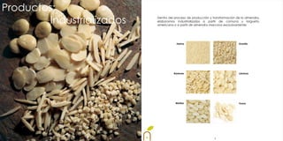 Productos:
        Industrializados   Dentro del proceso de producción y transformación de la almendra,
                           elaboramos industrializados a partir de comuna y largueta,
                           americana o a partir de almendra marcona exclusivamente:




                                       Harina                                 Granillo




                                     Bastones                                 Láminas




                                      Medias                                  Trozos




                                                               9
 