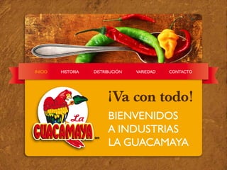 Salsas Guacamaya