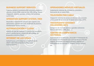 BUSINESS SUPPORT SERVICES OPERADORES MÓVILES VIRTUALES 
Cobertura global al ecosistema BSS: provisión productos, Implantación sistemas de contratación, provisión y 
atención cliente (CRM, canal on-line, IVR), billing, fraude, facturación de un nuevo OMV. 
integración sistemas, portales, ventas y herramientas 
comerciales. 
TELEVISIÓN POR CABLE 
OPERATION SUPPORT SYSTEM / RED 
TRATAMIENTO GRANDES 
VOLÚMENES INFO 
AUTOMATIZACIÓN Y CLOUD 
CENTRO DE COMPETENCIA 
SECTORIAL 
INTERNET DE LAS COSAS 
Integración sistemas de acceso condicional para provisión 
y facturación de servicios de TV digital (streaming y OTT). 
Desarrollo e implantación solución para soporte a las 
operaciones y gestión de la red: modelado de procesos, 
monitorización de los mismos, … 
Inteligencia de mercado en base a grandes volúmenes 
(factura telemática, CDRs, Logs, …). 
Análisis de nivel de madurez IT y servicio de consultoría 
para la transformación y desarrollo del catálogo de 
productos y servicios Cloud. 
Especializado en la definición, desarrollo e implantación de 
los sistemas de información que soportan los procesos de 
Comunicación entre máquinas y transferencia de negocio. Orientado a la mejora continua, soporte a la 
información entre dispositivos (Near Field externalización de servicios IT, Software Factory vertical, 
Communication). etc. 
 