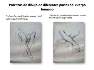 Justificación anatómicaLos grandes artistas que se han preocupado por la expresión de la belleza, cuando la han buscado a través de un cuerpo humano de hombre o de mujer, han orientado sus esfuerzos hacia la formulación de un canon de proporciones, o sea, de una serie de relaciones matemáticas que permiten determinar, a partir de una primera relación muy simple todas las demás medidas de un cuerpo ideal.Los cánones más conocidos y más aceptados por las culturas de influencia grecolatina se deben a dos grandes artistas de la Grecia clásica: Polícleto y Lisipo. Existen varios métodos de estudio de la figura humana, en casi todos ellos (si no es en todos) se basan en el canon, pero son cálculos fríos y en todos se trata de plasmar la belleza y perfección, que en todo caso no es lo que yo busco (ni los realistas tampoco) ya que, como aclaré al comenzar esta investigación se trata de plasmar imágenes de personas normales, en sus quehaceres cotidianos, no seres idealizados ni de la mitología griega.