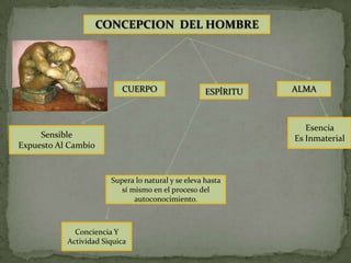 CONCEPCION DEL HOMBRE




                          CUERPO                    ESPÍRITU   ALMA



                                                                  Esencia
     Sensible                                                  Es Inmaterial
Expuesto Al Cambio


                       Supera lo natural y se eleva hasta
                          sí mismo en el proceso del
                              autoconocimiento.



             Conciencia Y
           Actividad Siquica
 