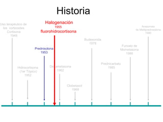 Historia
Uso terapéutico de            Halogenación
                                     1955                                                  Aceponato
  los corticoides                                                                      de Metilprednisolona
     Cortisona              fluorohidrocortisona                                               1990
       1949
                                                         Budesonida
                                                            1978
                                                                               Furoato de
                      Prednisolona                                            Mometasona
                         1953                                                    1988


                                                                  Prednicarbato
           Hidrocortisona        Dexametasona                         1985
            (1er Tópico)             1962
                1952


                                            Clobetasol
                                               1969
 