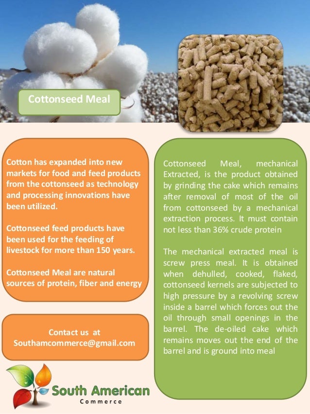 Presentación cottonseed meal