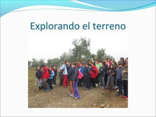 Explorando el terreno
 