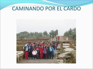CAMINANDO POR EL CARDO
 