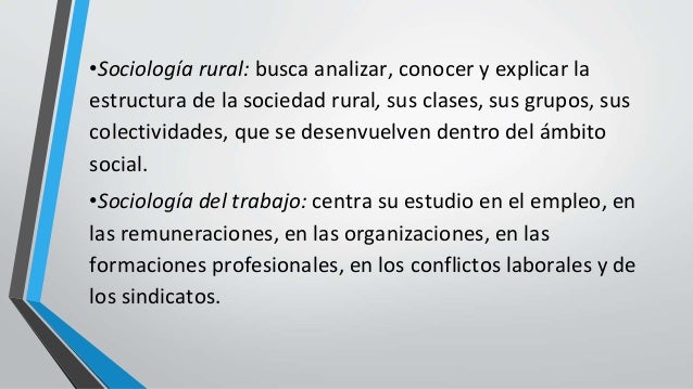 Características de la sociología como ciencia social