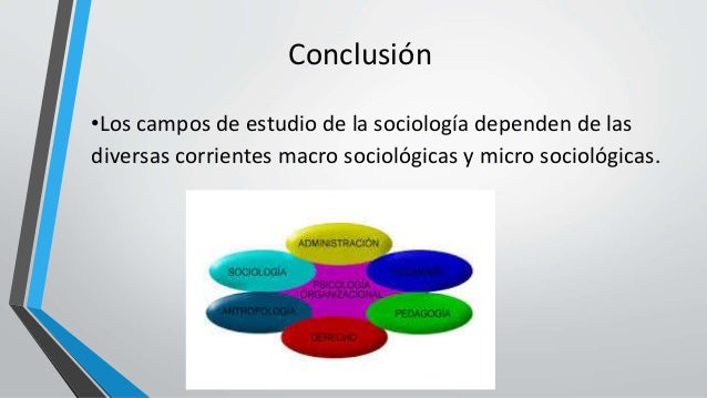 Características de la sociología como ciencia social