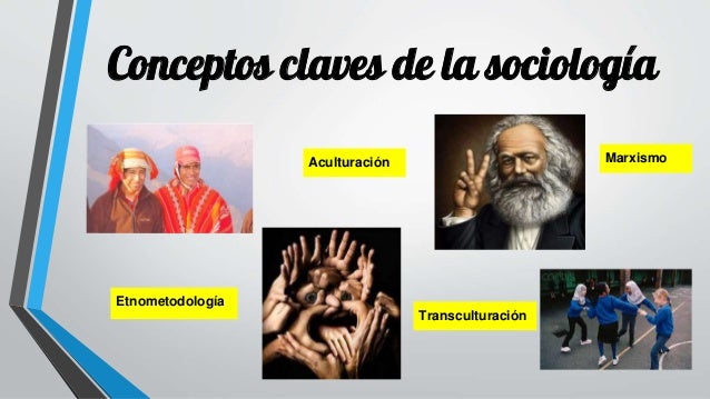 Características de la sociología como ciencia social