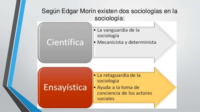 Características de la sociología como ciencia social