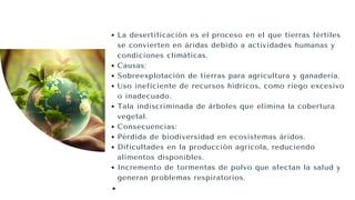 La desertificación es el proceso en el que tierras fértiles
se convierten en áridas debido a actividades humanas y
condiciones climáticas.
Causas:
Sobreexplotación de tierras para agricultura y ganadería.
Uso ineficiente de recursos hídricos, como riego excesivo
o inadecuado.
Tala indiscriminada de árboles que elimina la cobertura
vegetal.
Consecuencias:
Pérdida de biodiversidad en ecosistemas áridos.
Dificultades en la producción agrícola, reduciendo
alimentos disponibles.
Incremento de tormentas de polvo que afectan la salud y
generan problemas respiratorios.
 