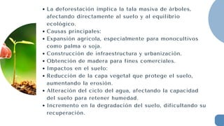 La deforestación implica la tala masiva de árboles,
afectando directamente al suelo y al equilibrio
ecológico.
Causas principales:
Expansión agrícola, especialmente para monocultivos
como palma o soja.
Construcción de infraestructura y urbanización.
Obtención de madera para fines comerciales.
Impactos en el suelo:
Reducción de la capa vegetal que protege el suelo,
aumentando la erosión.
Alteración del ciclo del agua, afectando la capacidad
del suelo para retener humedad.
Incremento en la degradación del suelo, dificultando su
recuperación.
 