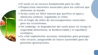 El suelo es un recurso fundamental para la vida:
Proporciona nutrientes esenciales para los cultivos que
alimentan al mundo.
Actúa como un filtro natural que purifica el agua y
almacena carbono, regulando el clima.
Es el hogar de miles de microorganismos esenciales
para los ecosistemas.
Sin embargo, la degradación del suelo pone en riesgo la
seguridad alimentaria, la biodiversidad y el equilibrio
ecológico.
Es vital implementar acciones inmediatas para proteger
este recurso, asegurando un futuro sostenible para las
próximas generaciones.
 