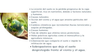 La erosión del suelo es la pérdida progresiva de la capa
superficial, rica en nutrientes, debido a factores naturales
y humanos.
Causas naturales:
Acción del viento y el agua que arrastra partículas del
suelo.
Cambios climáticos que incrementan lluvias torrenciales y
sequías prolongadas.
Causas humanas:
Tala de árboles que elimina raíces protectoras.
Malas prácticas agrícolas como el monocultivo y la
agricultura intensiva.
Urbanización que compacta el suelo e impide la
infiltración de agua.
Sobrepastoreo que deja el suelo
desprotegido frente al viento y el agua.
 