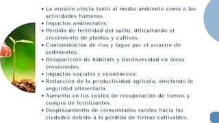 La erosión afecta tanto al medio ambiente como a las
actividades humanas.
Impactos ambientales:
Pérdida de fertilidad del suelo, dificultando el
crecimiento de plantas y cultivos.
Contaminación de ríos y lagos por el arrastre de
sedimentos.
Desaparición de hábitats y biodiversidad en áreas
erosionadas.
Impactos sociales y económicos:
Reducción de la productividad agrícola, afectando la
seguridad alimentaria.
Aumento en los costos de recuperación de tierras y
compra de fertilizantes.
Desplazamiento de comunidades rurales hacia las
ciudades debido a la pérdida de tierras cultivables.
 