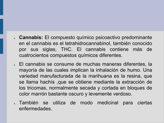 ●   Cannabis: El compuesto químico psicoactivo predominante
    en el cannabis es el tetrahidrocannabinol, también conocido
    por sus siglas, THC. El cannabis contiene más de
    cuatrocientos compuestos químicos diferentes.
●   El cannabis se consume de muchas maneras diferentes, la
    mayoría de las cuales implican la inhalación de humo. Una
    variedad manufacturada de la marihuana es la resina, que
    se llama hachís ,que se obtiene mediante la extracción de
    los tricomas, normalmente secada y cortada en bloques de
    color marrón bastante oscuro y levemente verdoso.
●   También se utiliza de modo medicinal para ciertas
    enfermedades.
 