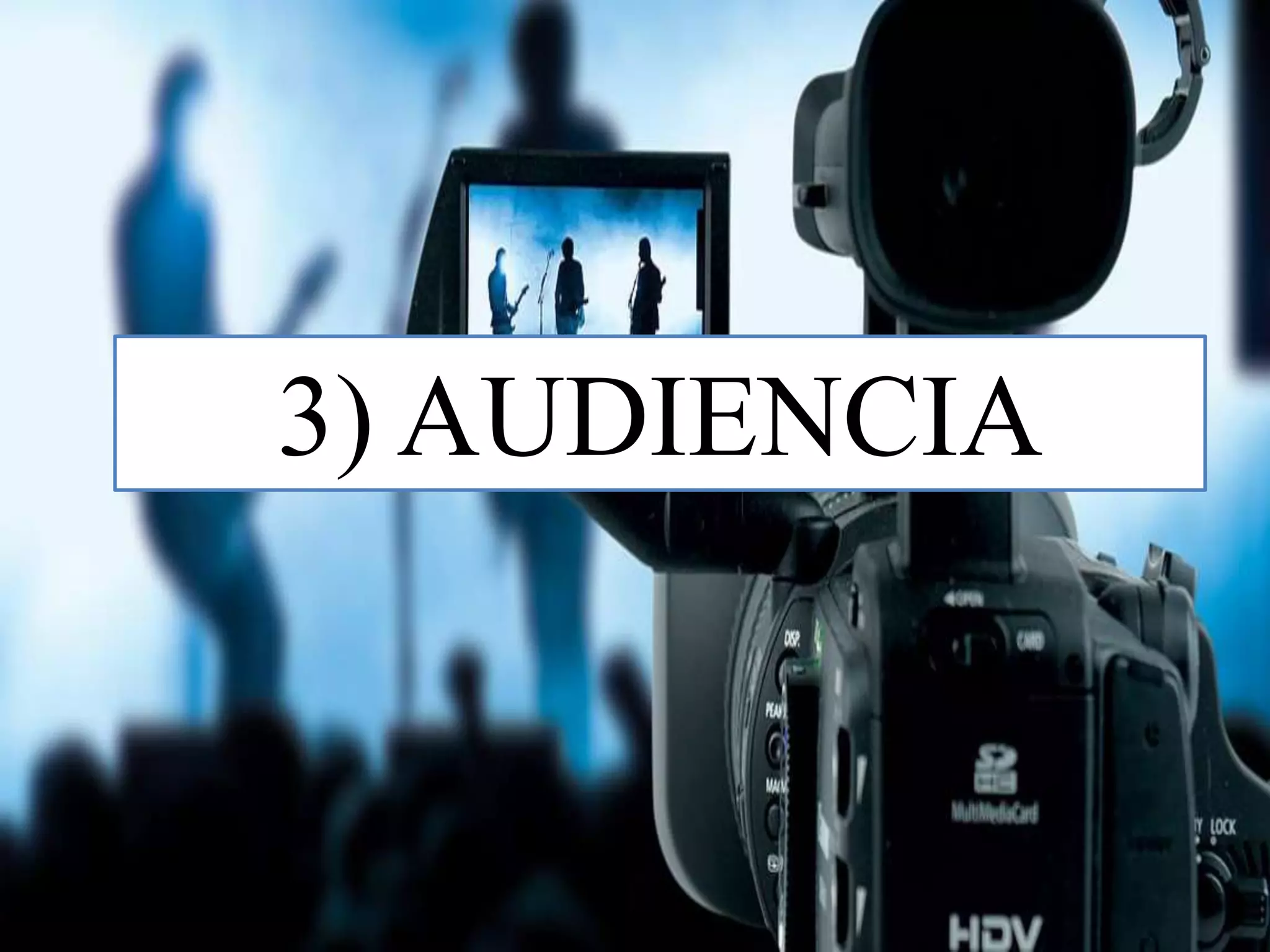 3) AUDIENCIA