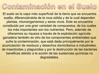 El suelo es la capa más superficial de la tierra que se encuentra
suelta, diferenciándola de la roca sólida y de la cual dependen
plantas, microorganismos y seres vivos. Este se encuentra
constituido por una gran variedad de compuestos, de los cuales
los más importantes son los nutrientes. Pero, además de
ofrecernos su riqueza a través de la explotación agrícola-
ganadera también es otro de los componentes ambientales que
sufre la contaminación, que está dada principalmente por la
acumulación de residuos y desechos domiciliarios e industriales,
de insecticidas y plaguicidas y por la destrucción de las bacterias
benéficas debido a la acción de las sustancias químicas no
degradables.
 