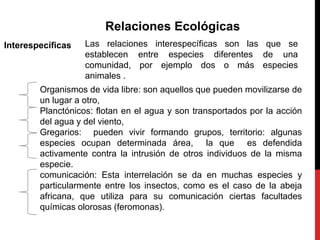 Relaciones Ecológicas
Interespecíficas   Las relaciones interespecíficas son las que se
                   establecen entre especies diferentes de una
                   comunidad, por ejemplo dos o más especies
                   animales .
        Organismos de vida libre: son aquellos que pueden movilizarse de
        un lugar a otro,
        Planctónicos: flotan en el agua y son transportados por la acción
        del agua y del viento,
        Gregarios: pueden vivir formando grupos, territorio: algunas
        especies ocupan determinada área, la que es defendida
        activamente contra la intrusión de otros individuos de la misma
        especie.
        comunicación: Esta interrelación se da en muchas especies y
        particularmente entre los insectos, como es el caso de la abeja
        africana, que utiliza para su comunicación ciertas facultades
        químicas olorosas (feromonas).
 