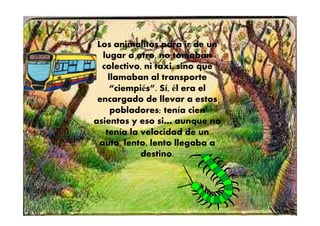 Los animalitos para ir de un
lugar a otro, no tomaban
colectivo, ni taxi, sino que
llamaban al transporte
“ciempiés”. Sí, él era el
encargado de llevar a estos
pobladores; tenía cienpobladores; tenía cien
asientos y eso si… aunque no
tenía la velocidad de un
auto, lento, lento llegaba a
destino.
 