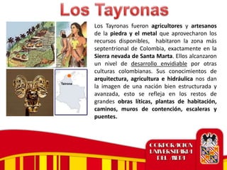 Los Tayronas fueron agricultores y artesanos
de la piedra y el metal que aprovecharon los
recursos disponibles, habitaron la zona más
septentrional de Colombia, exactamente en la
Sierra nevada de Santa Marta. Ellos alcanzaron
un nivel de desarrollo envidiable por otras
culturas colombianas. Sus conocimientos de
arquitectura, agricultura e hidráulica nos dan
la imagen de una nación bien estructurada y
avanzada, esto se refleja en los restos de
grandes obras líticas, plantas de habitación,
caminos, muros de contención, escaleras y
puentes.
 