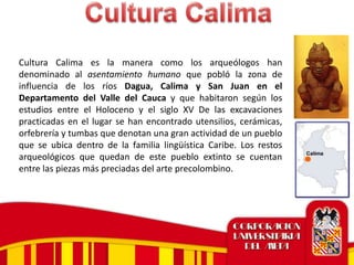 Cultura Calima es la manera como los arqueólogos han
denominado al asentamiento humano que pobló la zona de
influencia de los ríos Dagua, Calima y San Juan en el
Departamento del Valle del Cauca y que habitaron según los
estudios entre el Holoceno y el siglo XV De las excavaciones
practicadas en el lugar se han encontrado utensilios, cerámicas,
orfebrería y tumbas que denotan una gran actividad de un pueblo
que se ubica dentro de la familia lingüística Caribe. Los restos
arqueológicos que quedan de este pueblo extinto se cuentan
entre las piezas más preciadas del arte precolombino.
 