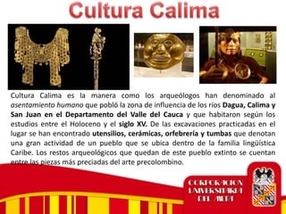 Cultura Calima es la manera como los arqueólogos han denominado al
asentamiento humano que pobló la zona de influencia de los ríos Dagua, Calima y
San Juan en el Departamento del Valle del Cauca y que habitaron según los
estudios entre el Holoceno y el siglo XV. De las excavaciones practicadas en el
lugar se han encontrado utensilios, cerámicas, orfebrería y tumbas que denotan
una gran actividad de un pueblo que se ubica dentro de la familia lingüística
Caribe. Los restos arqueológicos que quedan de este pueblo extinto se cuentan
entre las piezas más preciadas del arte precolombino.
 