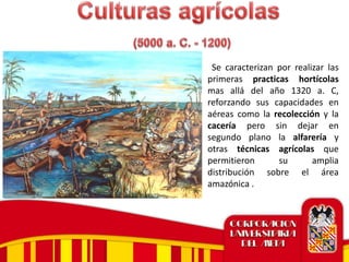 • Se caracterizan por realizar las
primeras practicas hortícolas
mas allá del año 1320 a. C,
reforzando sus capacidades en
aéreas como la recolección y la
cacería pero sin dejar en
segundo plano la alfarería y
otras técnicas agrícolas que
permitieron su amplia
distribución sobre el área
amazónica .
 