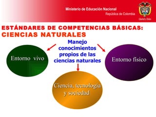 Ciencia, tecnología y sociedad  Entorno físico  ESTÁNDARES DE COMPETENCIAS BÁSICAS:  CIENCIAS NATURALES Manejo conocimientos propios de las ciencias naturales Entorno  vivo 