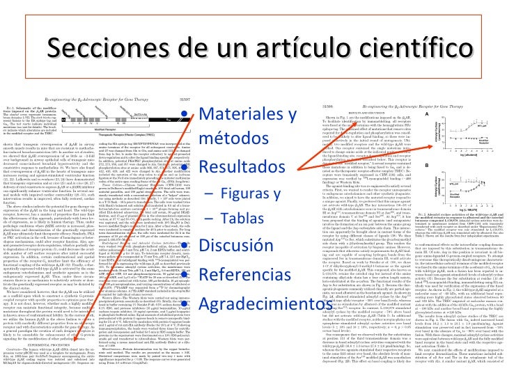 Resultado de imagen para secciones del articulo cientifico